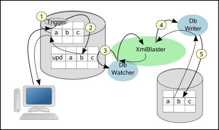 Replication Steps